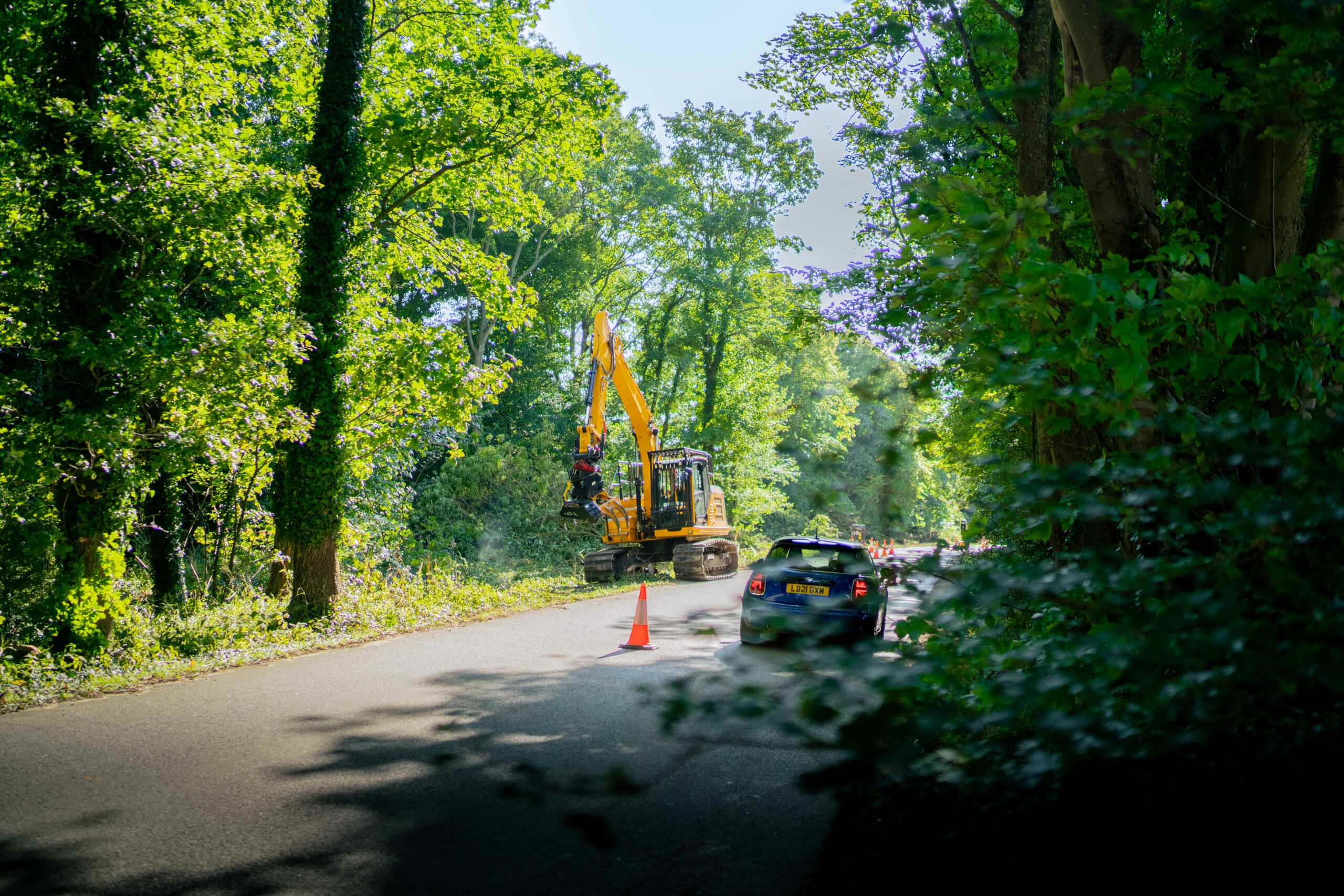 Arboriculture